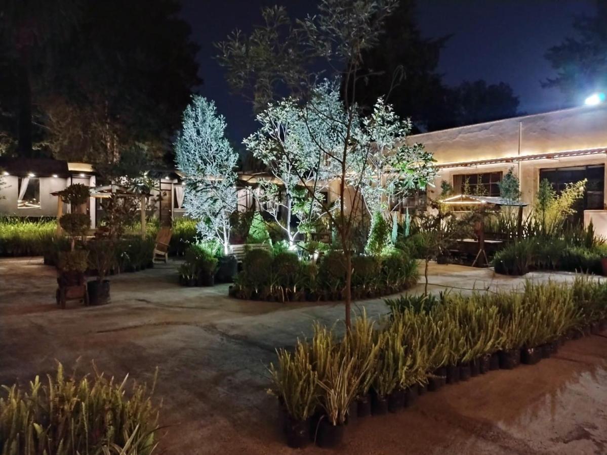 Hotel Express Quinta Soledad เม็กซิโกซิตี้ ภายนอก รูปภาพ